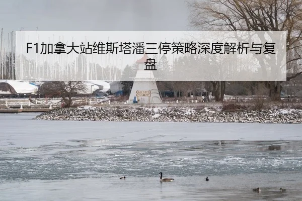 jia-na-da-zhan-wei-si-ta-pan-san-ting-ce-lve-shen-du-jie-xi-yu-fu-pan-2-305.jpg